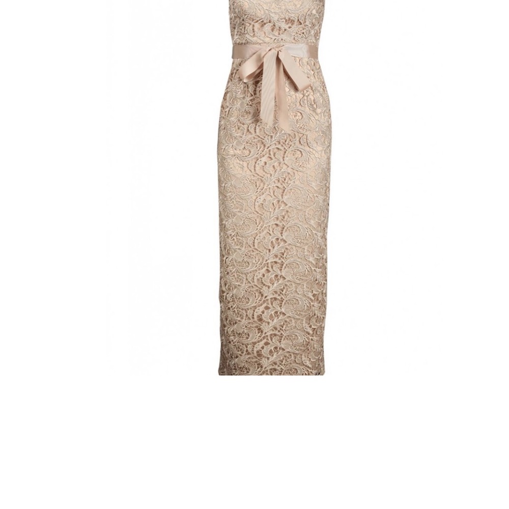 Like New Adrianna Papell Empire Lace dress. Only used once. Small tear see pic.